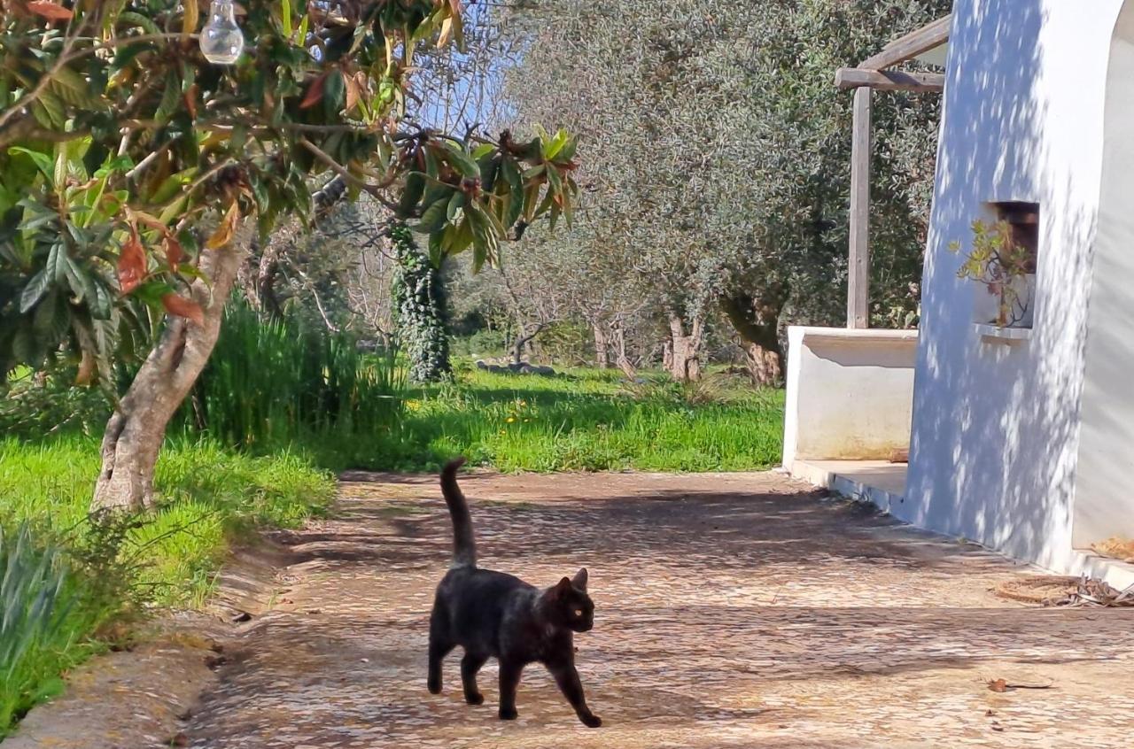Casa Baronessa Ceglie Messapica Exterior foto